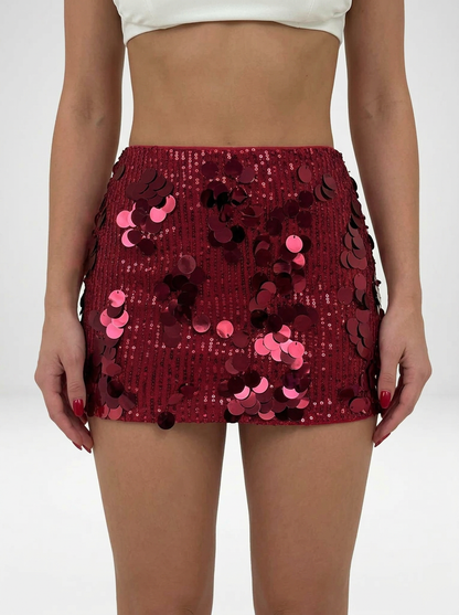 Sequin Stretch Bodycon Mini Skirt