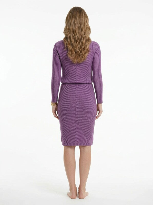 Women's Two Piece Pullover and Fitted Skirt Set