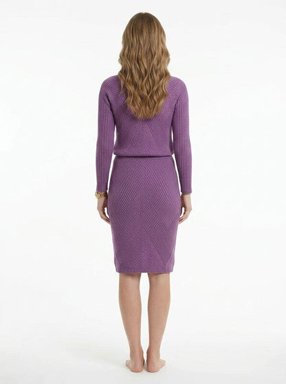 Women's Two Piece Pullover and Fitted Skirt Set